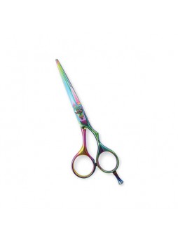 Professional Hair Cutting Scissors